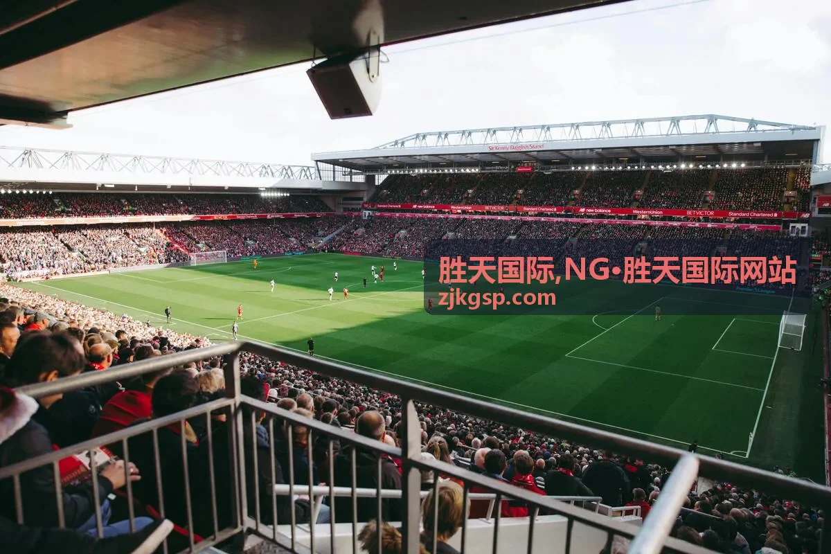 胜天国际 NG·胜天国际网站浏览提示图
