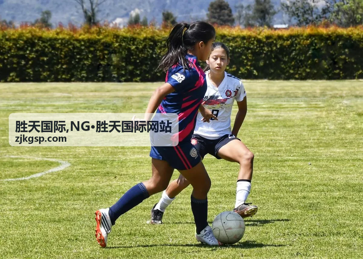 胜天国际 NG·胜天国际网站页面更新卡片